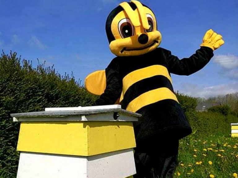 quince honey farm 1 1573461385