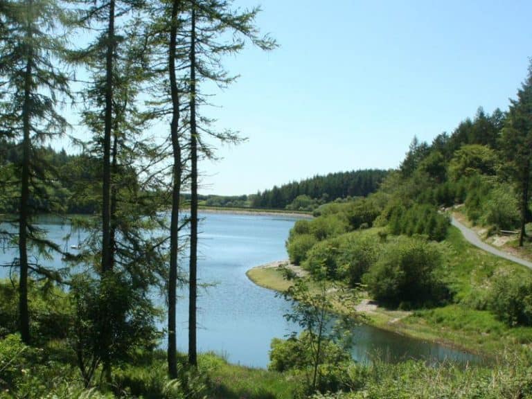 south west lakes wistpoundland 3 1578359974