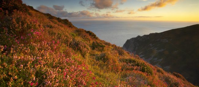 152553 heddon valley national trust images david noton