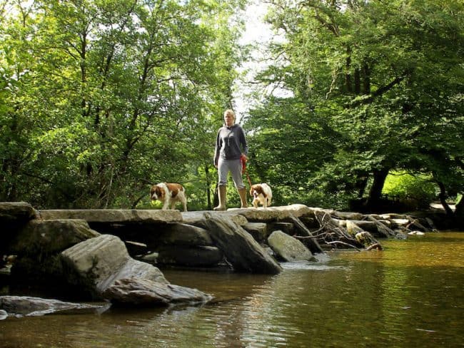Exmoor National Park Dulverton Marsh Bridge