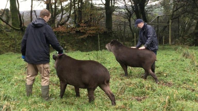 exmoor zoo keeper for a day 1 1587399925