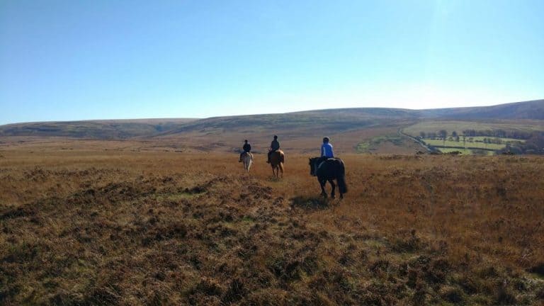 horse riding in exmoor 2 1581030018