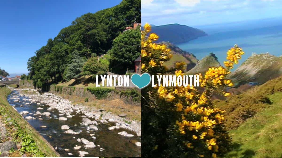 share the love  1 1590496493