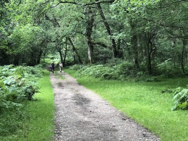 Horner Exmoor Somerset Highcliffe House