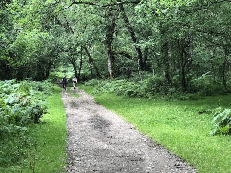 Horner Exmoor Somerset Highcliffe House