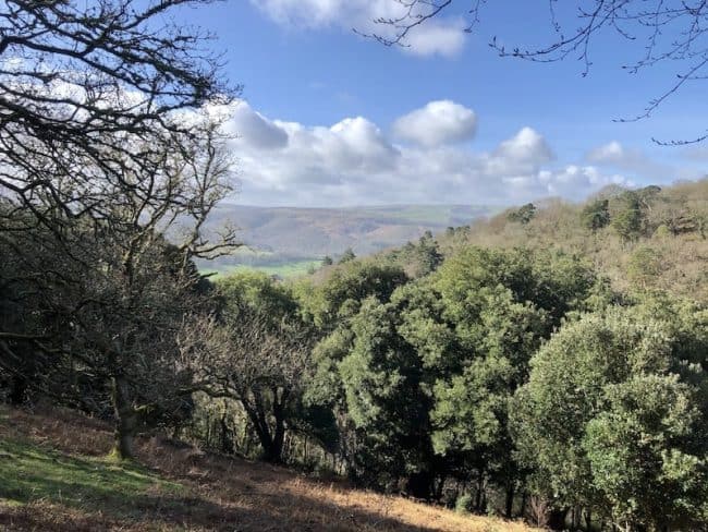 Lynton Lynmouth Selworthy