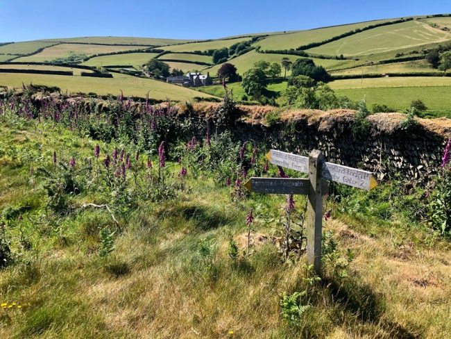 Spring Lynton Lynmouth Exmoor North Devon