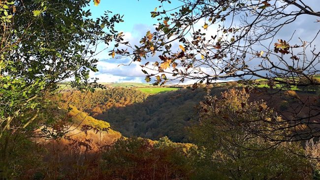 Lynton Lynmouth Autumn Heddon Valley Walk