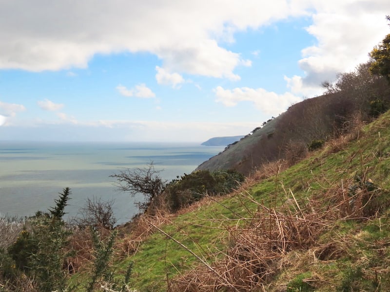 Danny Jarvis Watersmeet Desolate View b