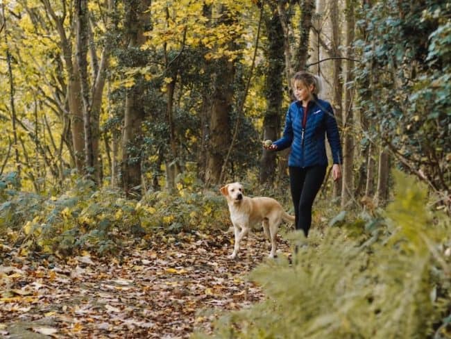 lyn valley dog house pexels humphrey muleba