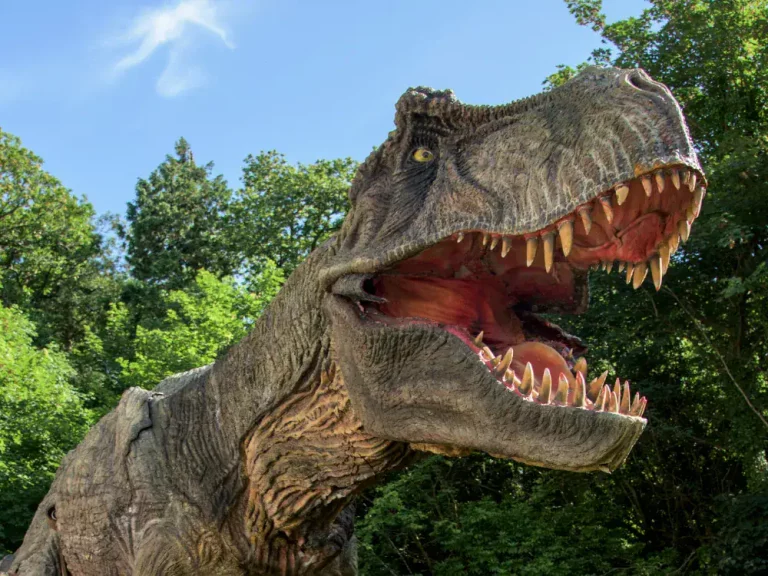 combe martin wildlife dinosaur park north devon Tyrannosaurus Rex