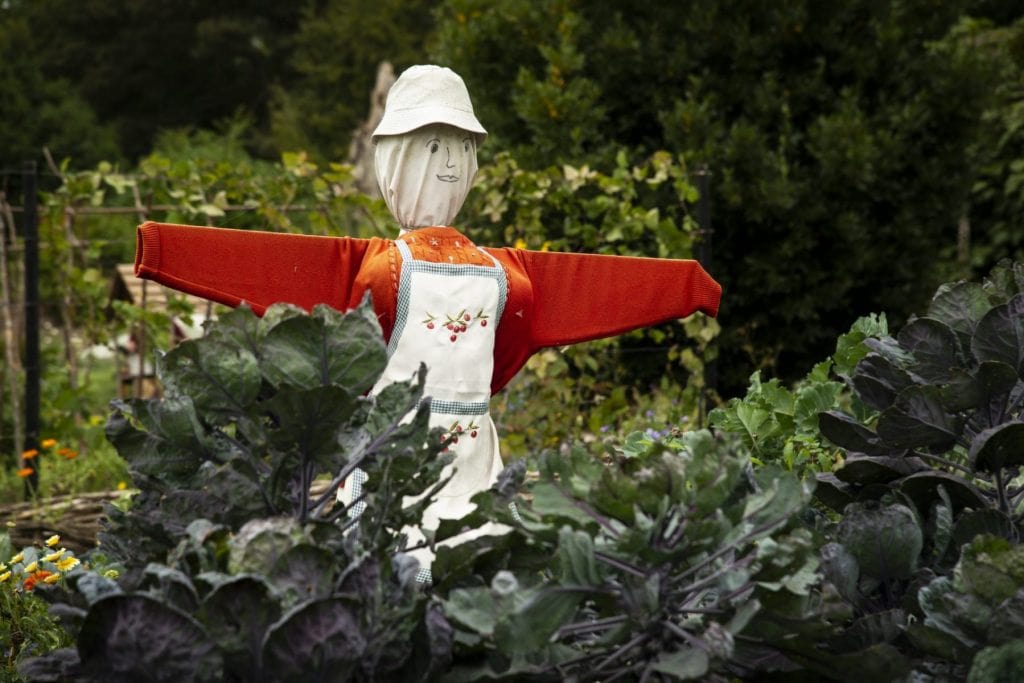 Arlington Scarecrow trail credit David Goacher scaled