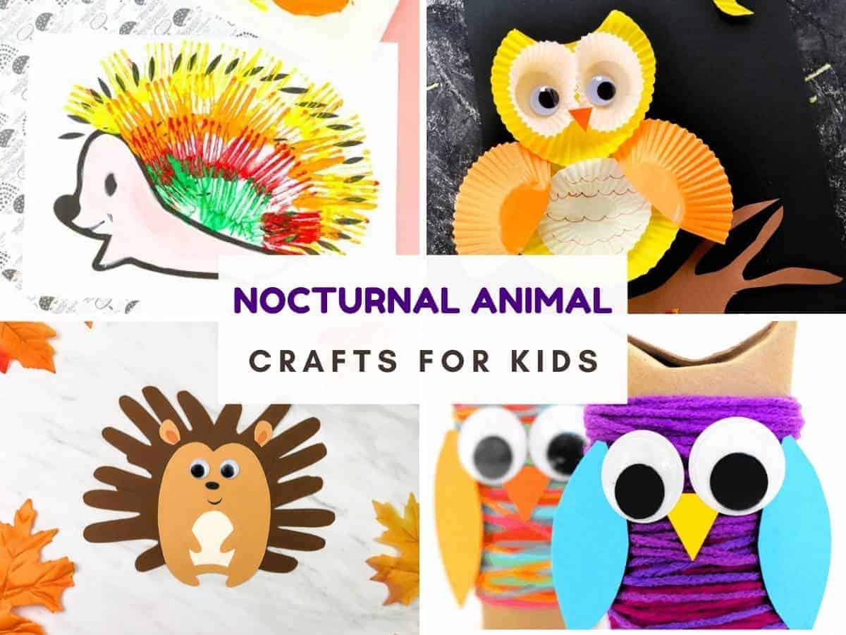 Nocturnal animal crafts