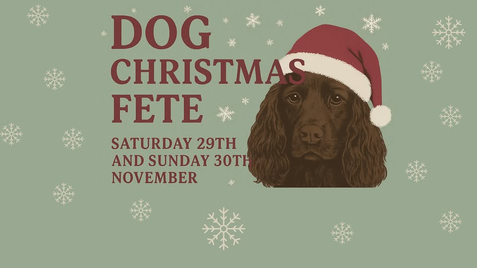 Dog Christmas Fête event poster in Exmoor's Little Switzerland, themed with a festive dog wearing a Santa hat.