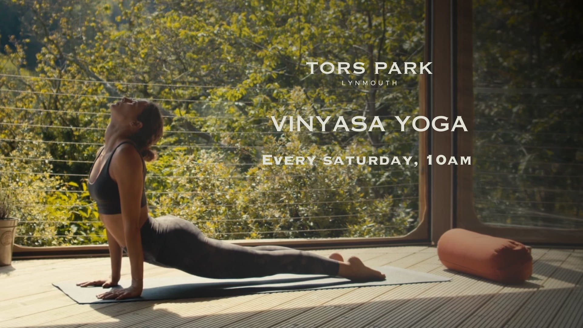 Vinyasa yoga class at Tors Park in Lynmouth, Exmoor National Park, with a peaceful view of lush green trees.