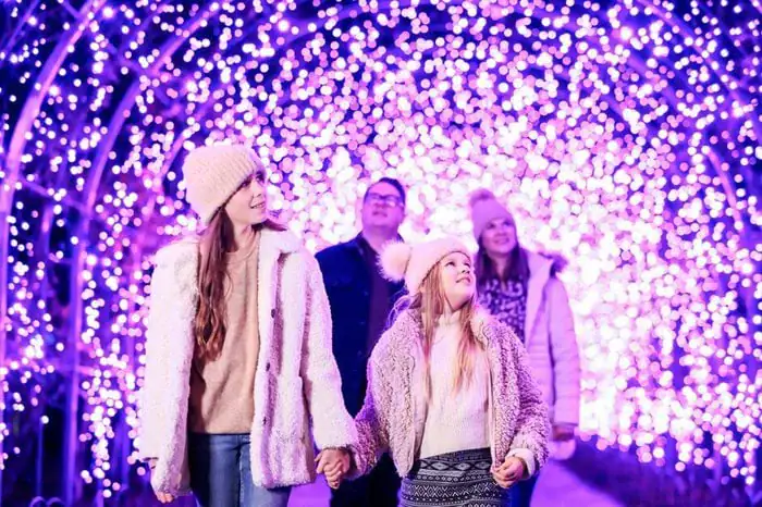 enjoy Winter day trips from Lynton & Lynmouth