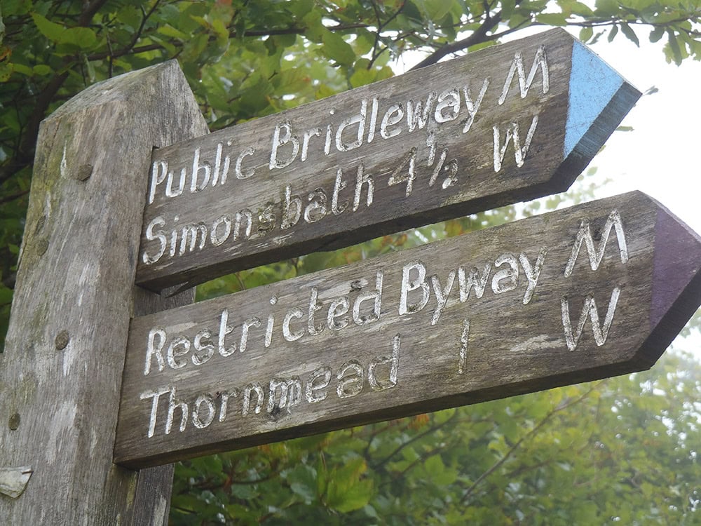 Weathered wooden signpost with directional arrows amidst green foliage.