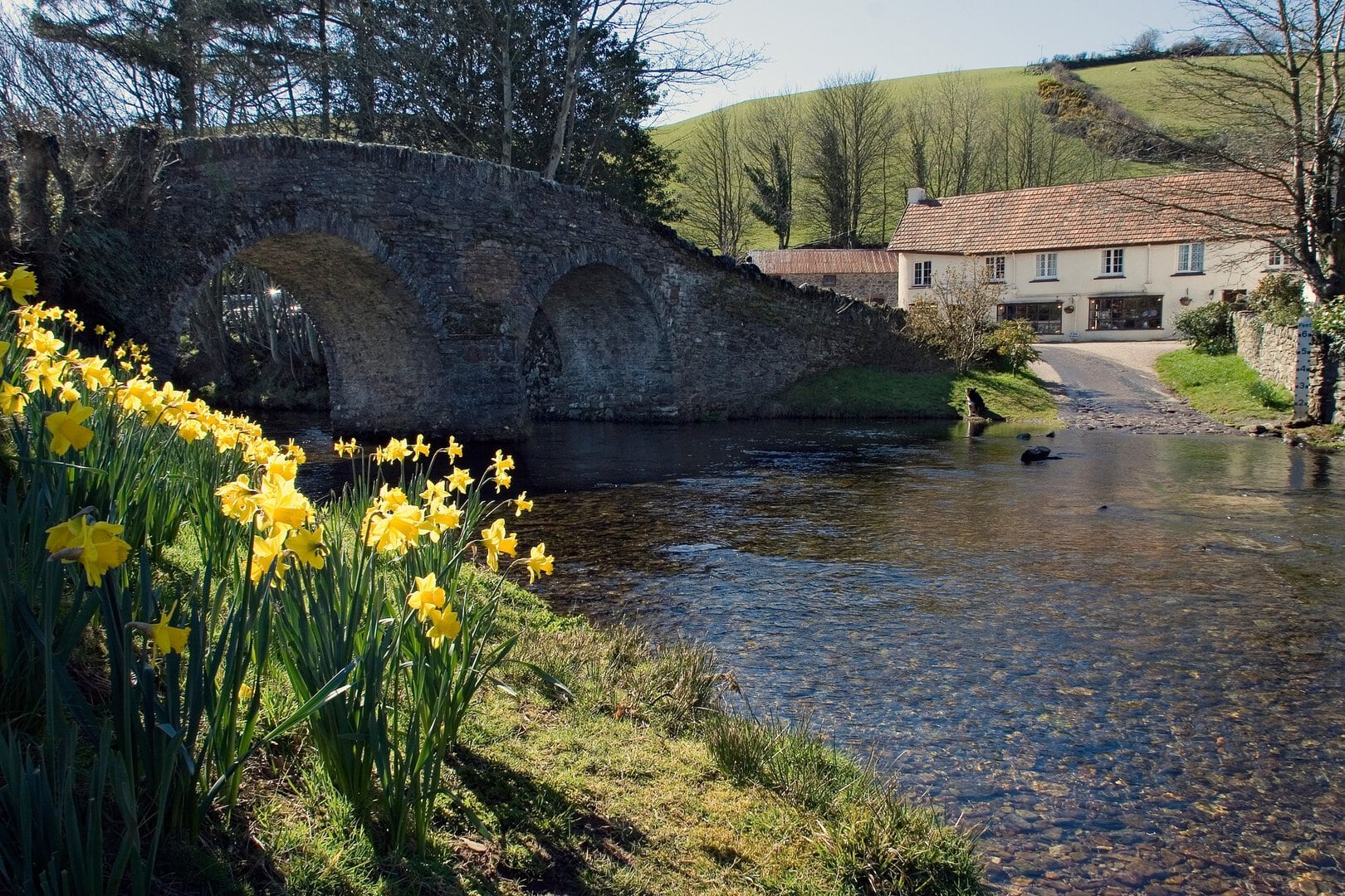 Old stone bridge over the river with daffodils in the foreground and a quaint white building behind, set in scenic Exmoor countryside.
