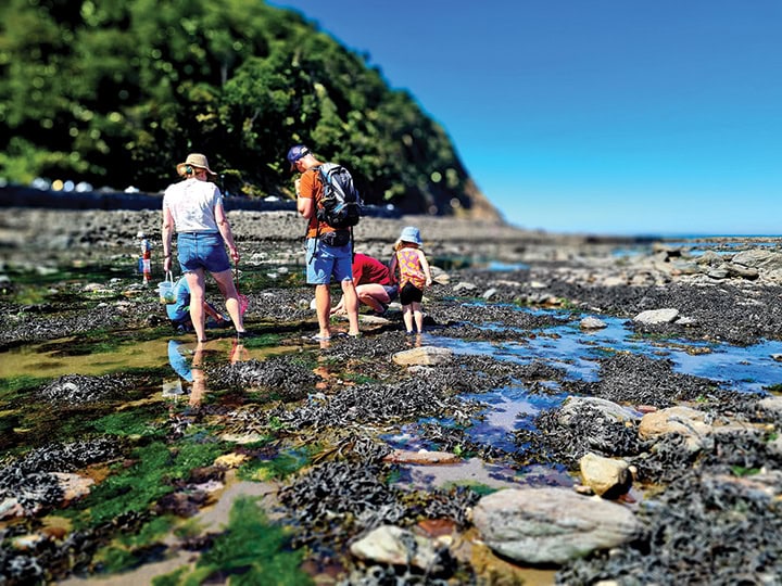A family explores the rocky shoreline at Lynton & Lynmouth, enjoying low tide.