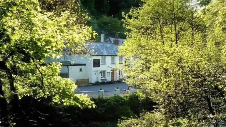 A charming white cottage nestled among vibrant green trees in Lynton, North Devon.