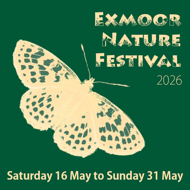 Bright yellow butterfly illustration for Exmoor Nature Festival.