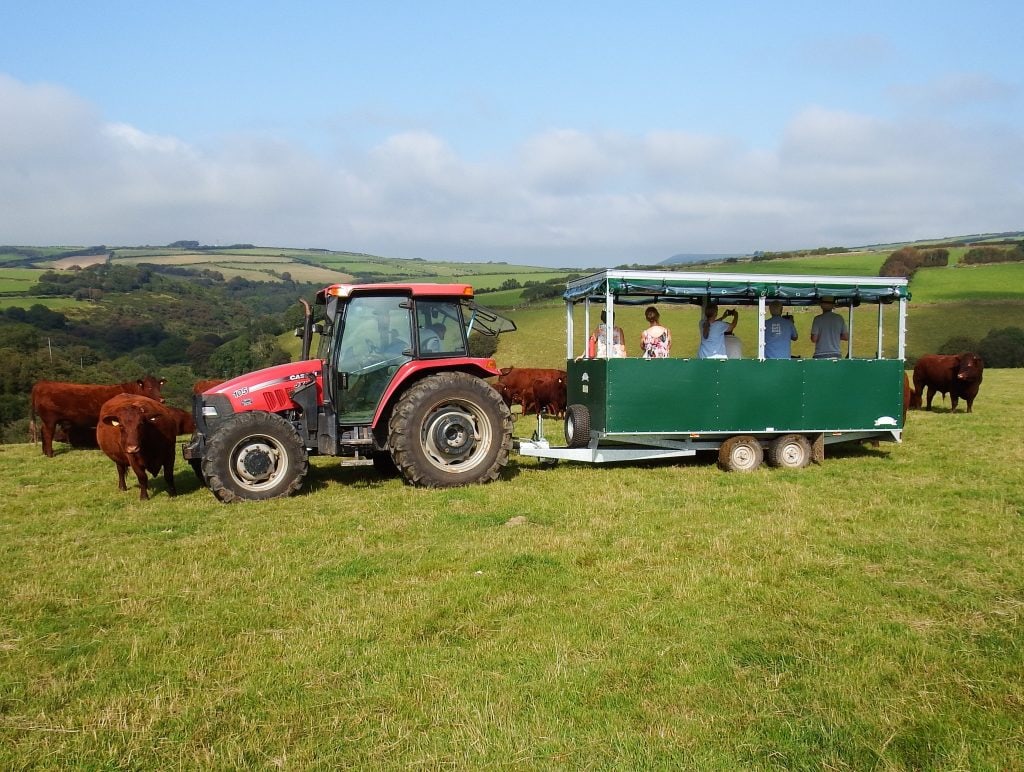 Farm tractor with passengers enjoying a slow farm tour at Ilkerton Farm.