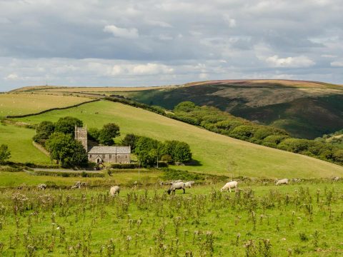 ENP flickr Brendon 16475081844 5e6c513bb8 k